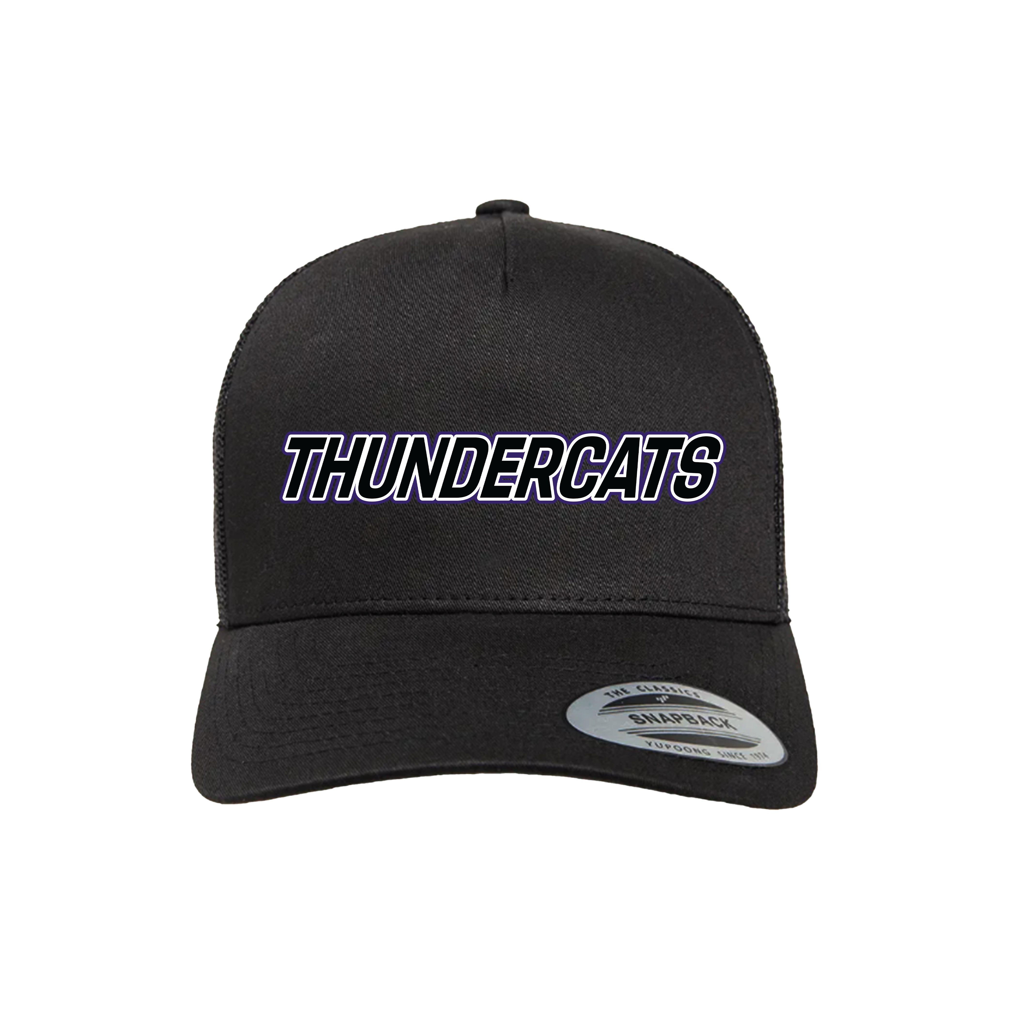 Thundercats Diamond Sports Fastpitch (Garrison)- Hat 1 (Black)