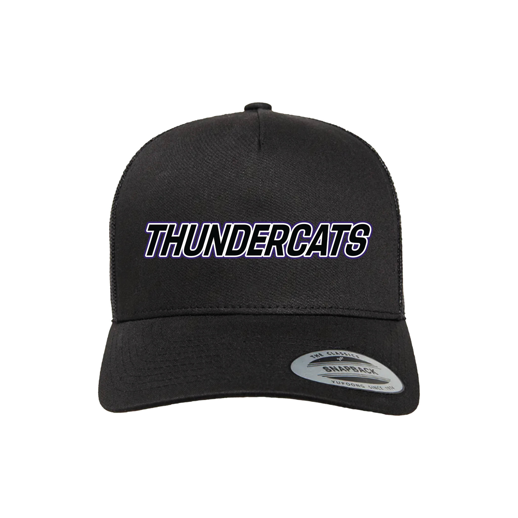 Thundercats Diamond Sports Fastpitch (Garrison)- Hat 1 (Black)