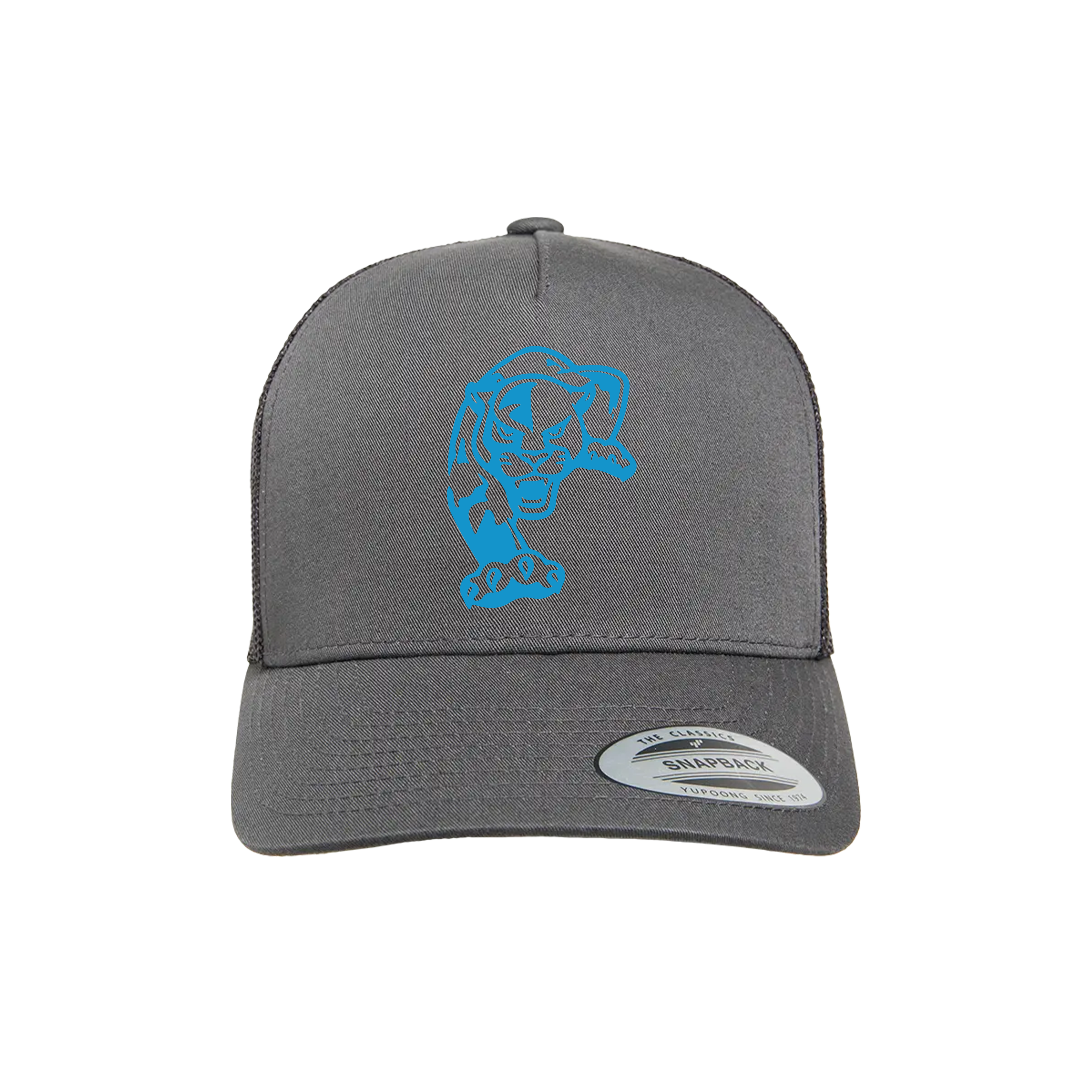 Panthers Baseball (Bowman)- Hat 1 (Charcoal)
