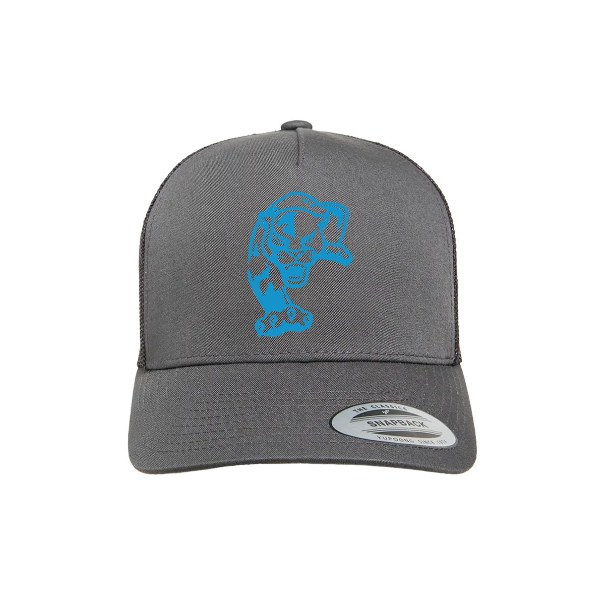 Panthers Baseball (Bowman)- Hat 1 (Charcoal)