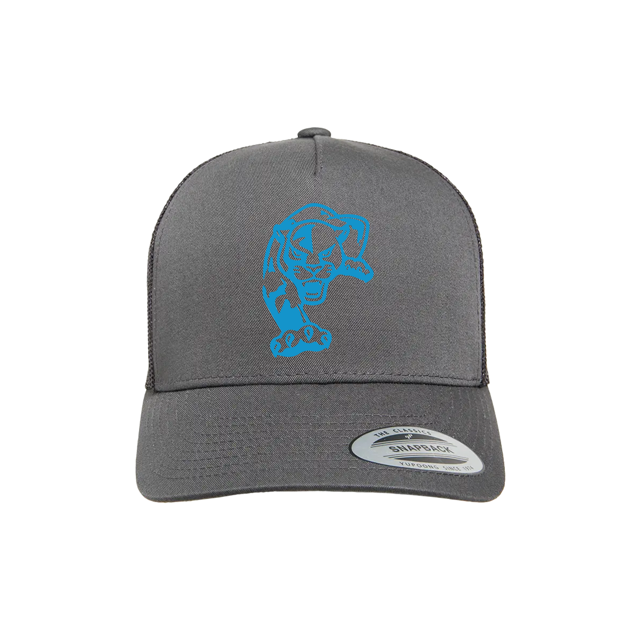 Panthers Baseball (Bowman)- Hat 1 (Charcoal)