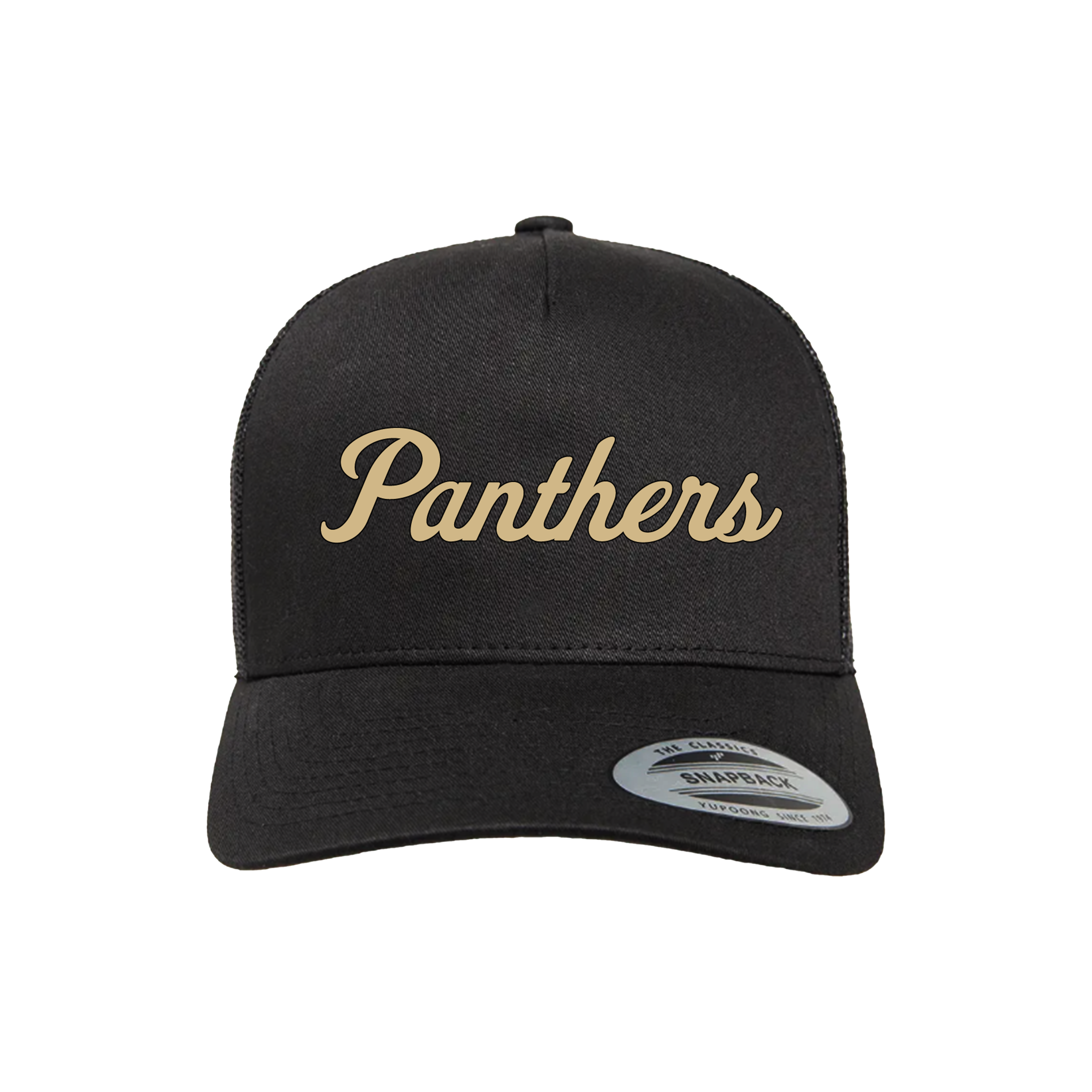 Panthers Fastpitch (Alvarez)- Hat 2 (Black)
