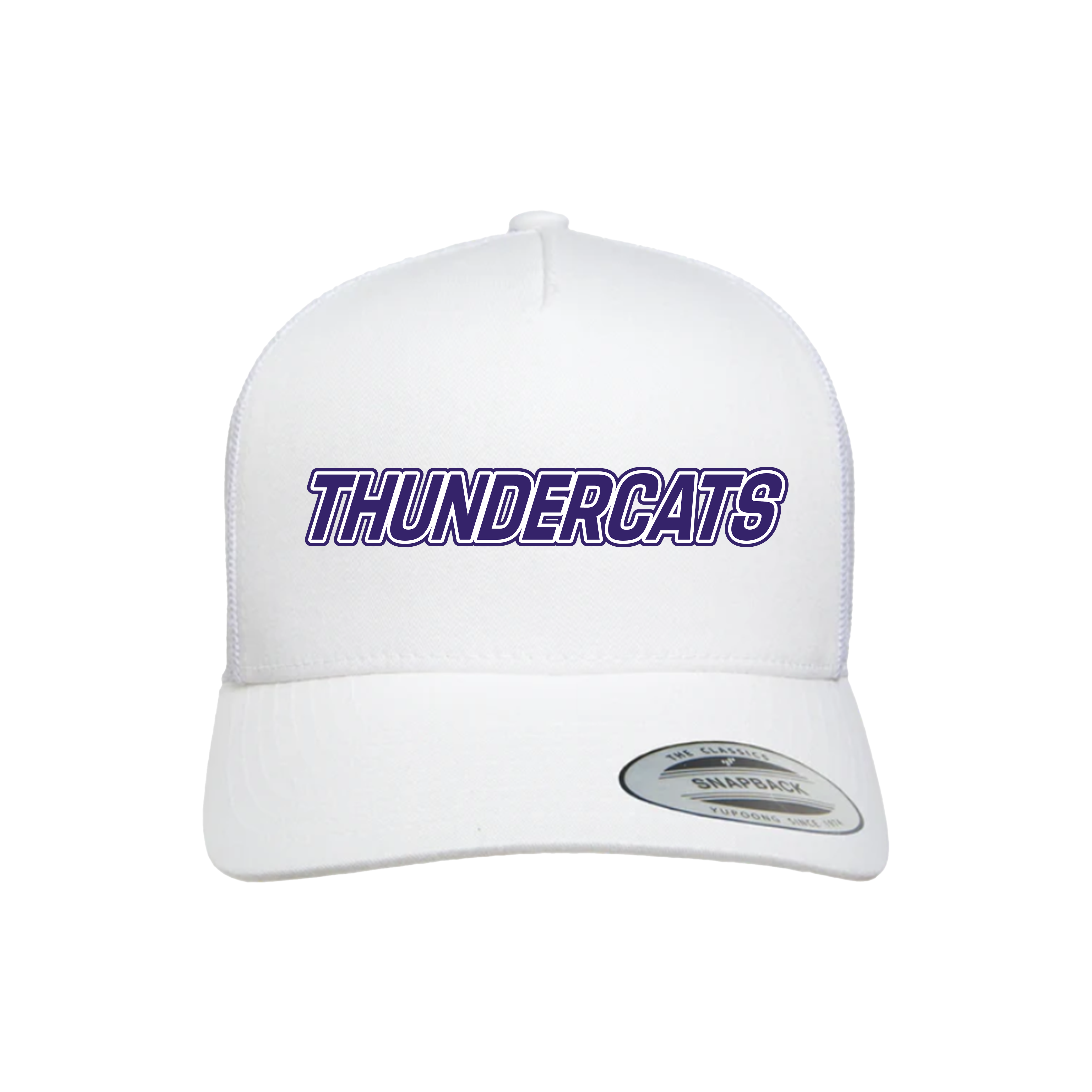Thundercats Diamond Sports Fastpitch (Garrison)- Hat 2 (White)