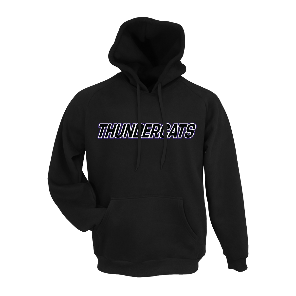 Thundercats Diamond Sports Fastpitch (Garrison)- Hoodie 2 (Black)