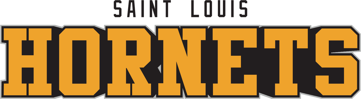 VROBI Custom Logo Design