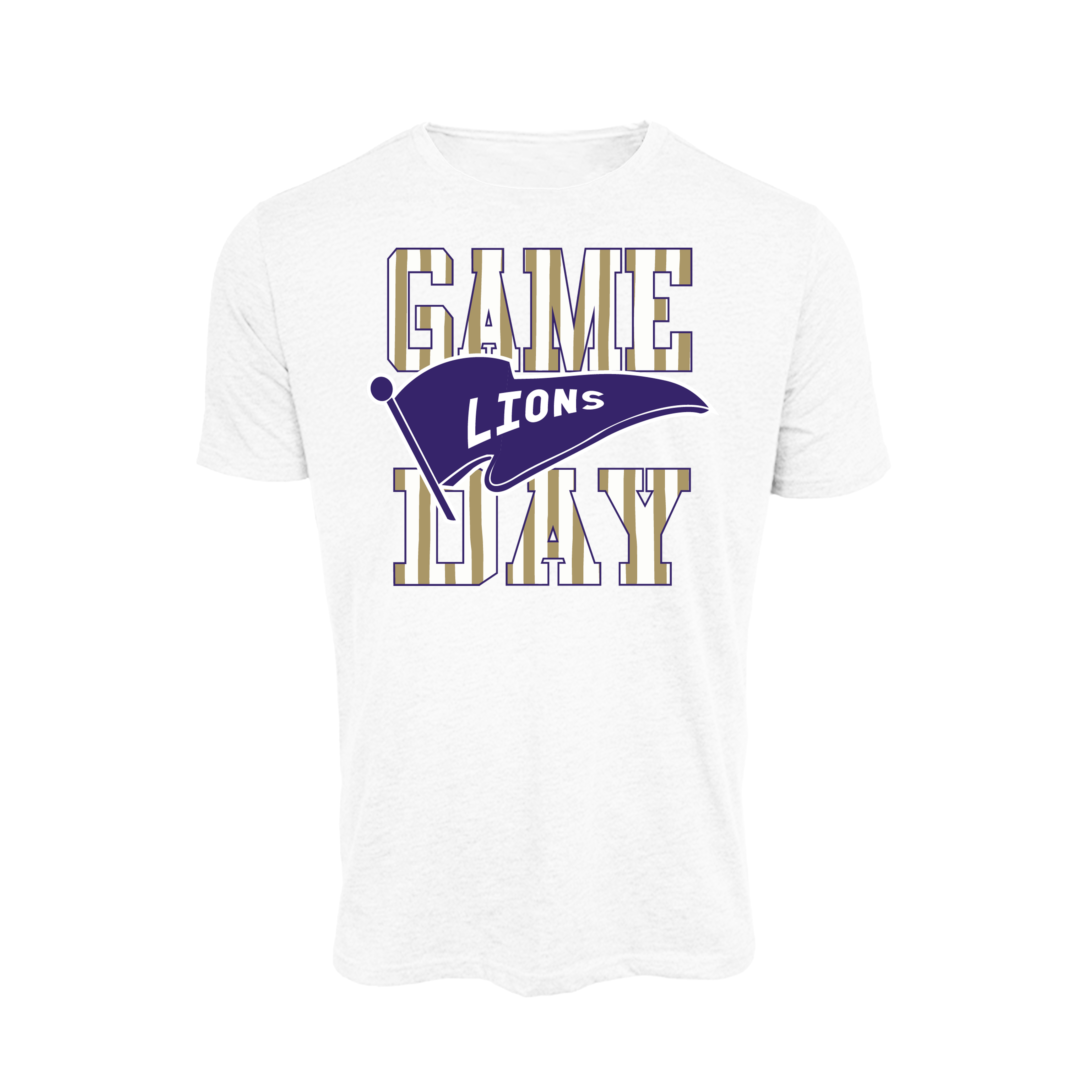 Messiah Lions Basketball 2026- T Shirt 1 (White)