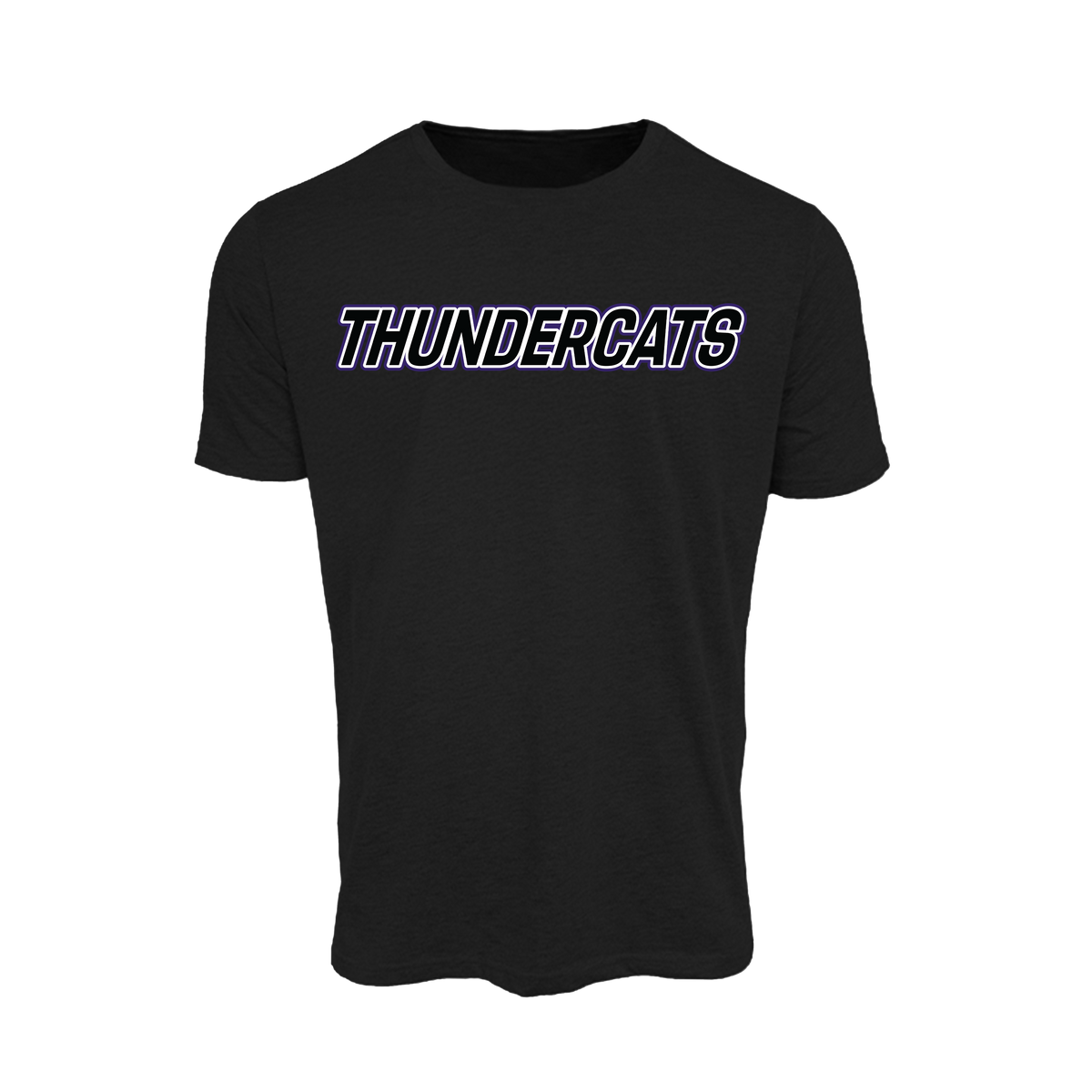 Thundercats Diamond Sports Fastpitch (Garrison)- T Shirt 2 (Black)