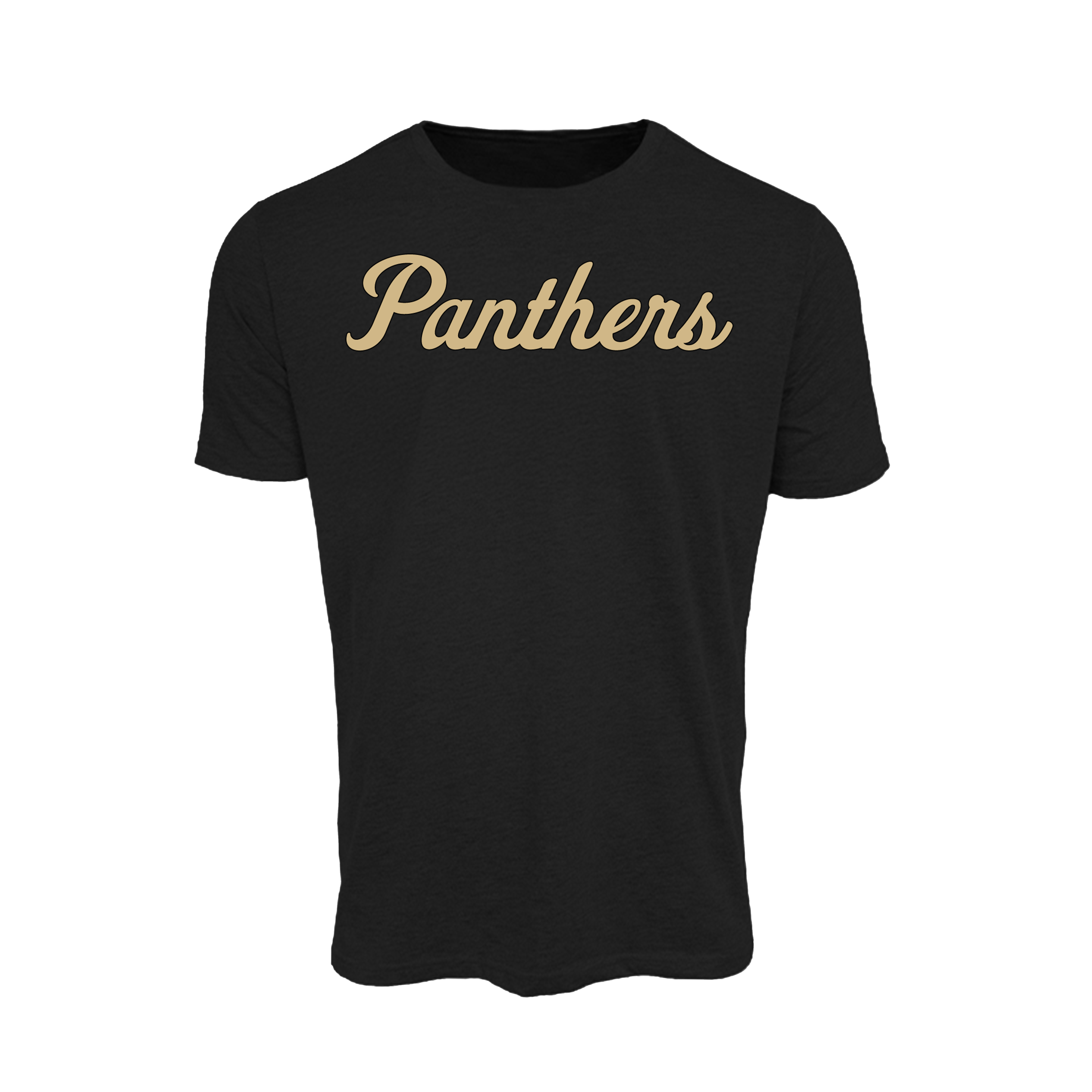 Panthers Fastpitch (Alvarez)- T Shirt 2 (Black)
