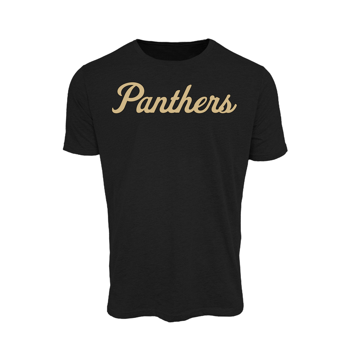 Panthers Fastpitch (Alvarez)- T Shirt 2 (Black)