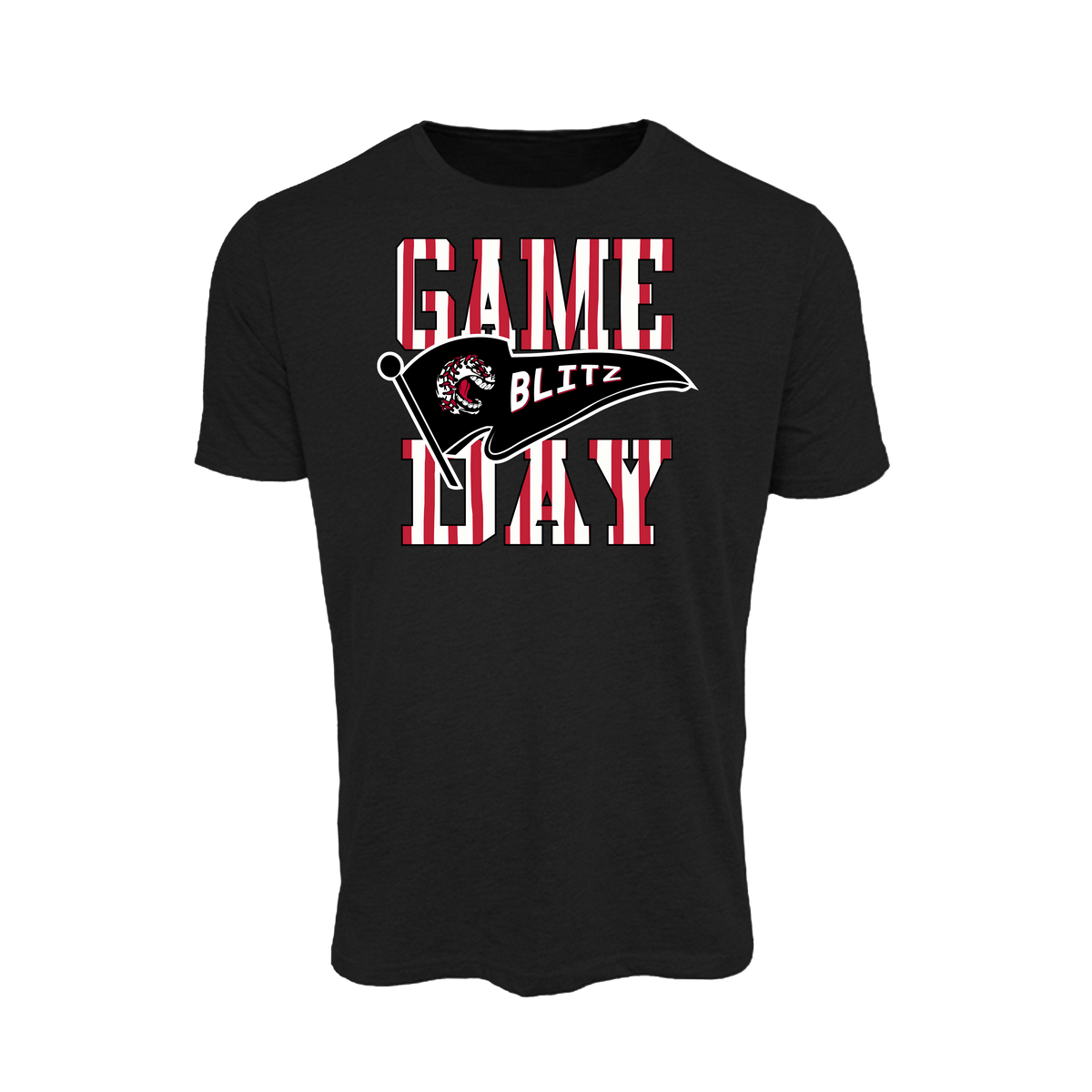 Blitz (Harding) Fastpitch- T Shirt 2 (Black)